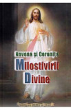 Novena si Coronita Milostivirii Divine - Pr. Ioan Serban Manole