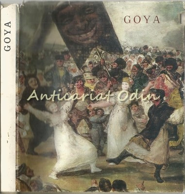 Goya - Vasile Florea foto