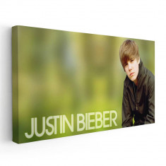 Tablou afis Justin Bieber cantaret 2383 Tablou canvas pe panza CU RAMA 30x60 cm foto