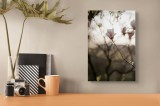 Tablou Canvas, "Magnolie solitară &icirc;n amurgul primăverii", Floare, Magnolia, Ramură, Primăvară, Bl&acirc;ndețe, Natură, Claritate, Lumină, Simplitate, Elegan