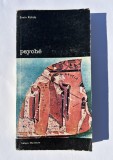 Psyche - Erwin Rohde