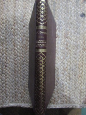 Fanus Neagu - Ingerul a strigat foto