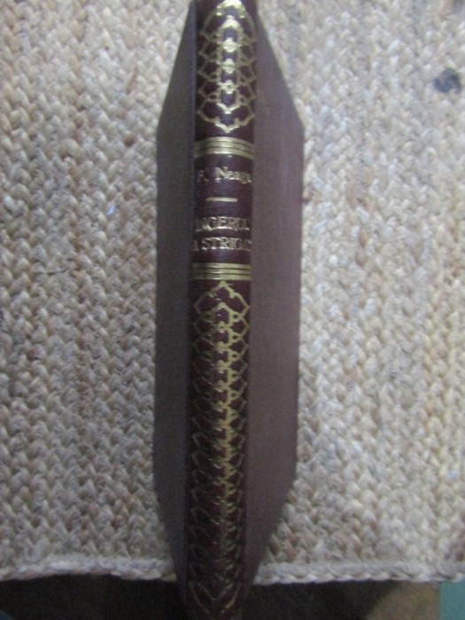 Fanus Neagu - Ingerul a strigat