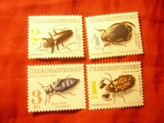 Serie Cehoslovacia 1992 , Insecte , 4 valori foto