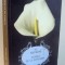 FLORILE DE LA MANSARDA de V. C. ANDREWS , 2017