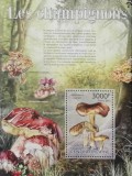 Ciuperci - Republica Centrafricană 2013 - Coliță Poștală Les Champignons CP1_II