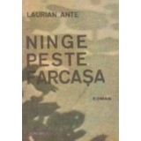 Ninge peste Farcasa