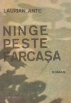 Ninge peste Farcasa foto