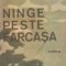 Ninge peste Farcasa