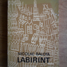 Nicolae Balota - Labirint. Eseuri critice