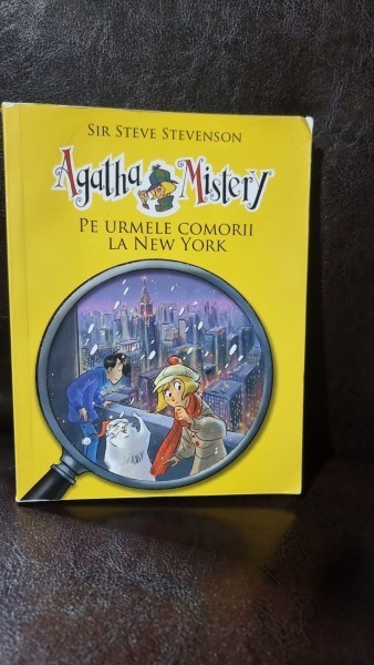 Pe urmele comorii la New York - Sir Steve Stevenson