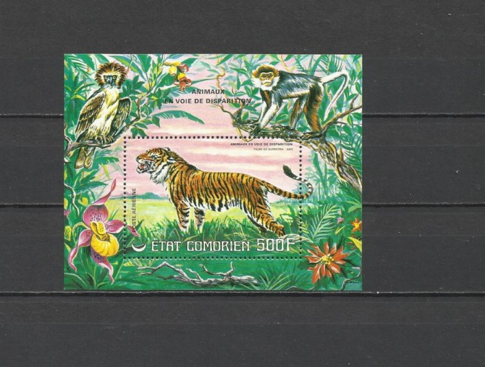 COMORES 1977 FAUNA ANIMALE PROTEJATE TIGRI MAIMUTE PASARI