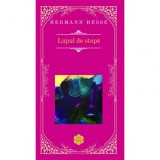 Lupul de stepa - Hermann Hesse, Rao