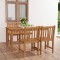 Gossi set mobilier gradina, 5 piese, lemn masiv de tec