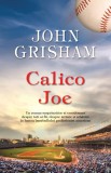 Calico Joe - John Grisham