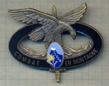 Y 1114 INSIGNA - MILITARA-COMBAT EN MONTAGNE-CIECM -FLOARE DE COLT-TRUPE MONTANE