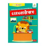 Carte de colorat si activitati de concentrare