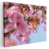 Tablou flori de copac inflorit primavara Tablou canvas pe panza CU RAMA 50x70 cm