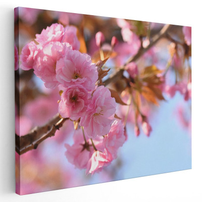Tablou flori de copac inflorit primavara Tablou canvas pe panza CU RAMA 20x30 cm foto