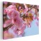 Tablou flori de copac inflorit primavara Tablou canvas pe panza CU RAMA 50x70 cm