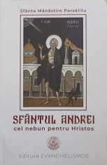 SFANTUL ANDREI CEL NEBUN PENTRU HRISTOS-SFANTA MANASTIRE PARAKLITU-253944
