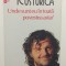 UNDE SUNT EU IN TOATA POVESTEA ASTA? - EMIR KUSTURICA
