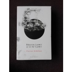 BASICA LUMII SI A NE LUMII - FLAVIUS ARDELEAN