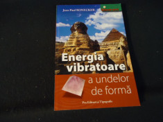 ENERGIA VIBRATOARE A UNDELOR DE FORMA-JEAN PAUL RONEKER-199 PG A4- foto