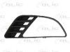 Grila ventilatie, bara protectie FORD FIESTA V (JH, JD) (2001 - 2010) BLIC 6502-07-2564996P