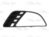 Grila ventilatie, bara protectie FORD FIESTA V (JH, JD) (2001 - 2010) BLIC 6502-07-2564996P