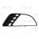 Grila ventilatie, bara protectie FORD FIESTA V (JH, JD) (2001 - 2010) BLIC 6502-07-2564996P