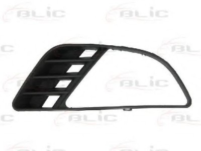 Grila ventilatie, bara protectie FORD FIESTA V (JH, JD) (2001 - 2010) BLIC 6502-07-2564996P foto
