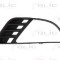 Grila ventilatie, bara protectie FORD FIESTA V (JH, JD) (2001 - 2010) BLIC 6502-07-2564996P