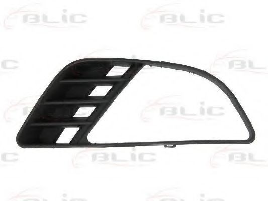 Grila ventilatie, bara protectie FORD FIESTA V (JH, JD) (2001 - 2010) BLIC 6502-07-2564996P