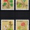SOMALIA 2001 - Flori / serie completa MNH