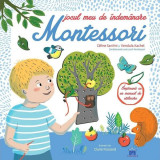 Jocul meu de &icirc;ndem&acirc;nare Montessori - Board book - Vendula Kachel, C&eacute;line Santini - Didactica Publishing House