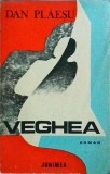 Veghea - Dan Plaesu, Editura Junimea, Roman Politist, 224 Pagini, Limba Romana, Coperta Brosata