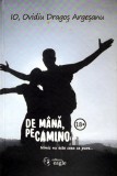 Cumpara ieftin De mana, pe Camino - 2019 - Ovidiu Dragos Argesanu (Y431)