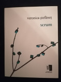 Scrum - Veronica Stefanet, 2019