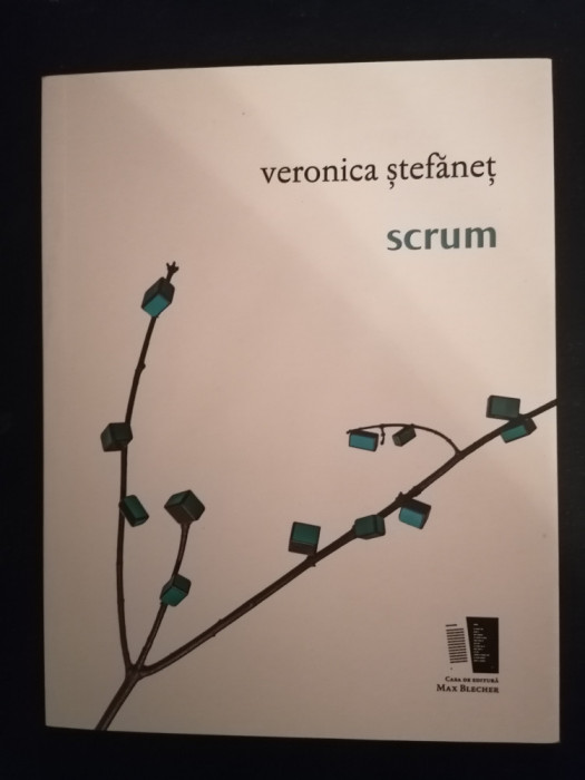 Scrum - Veronica Stefanet