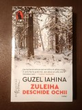 Guzel Iahina - Zuleiha deschide ochii (roman)