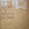 REPORTAJ CU SUFLETUL LA GURA. TIMISOARA 16-22 DECEMBRIE 1989-TITUS SUCIU-259322