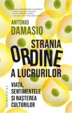 Strania ordine a lucrurilor - Antonio Damasio