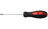 Surubelnita Torx T25, 100 mm Evotools 605145