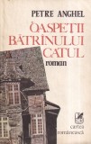 Petre Anghel Oaspetii batranului Catul - Roman aparitie 1984, stare buna, coperti brosate, format 13x20cm