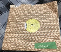 Vinil 4 Vinyl Electrecord Tineri interpreti de muzica usoara