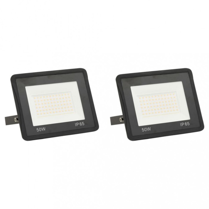 vidaXL Proiectoare cu LED, 50 W, 2 buc., alb cald