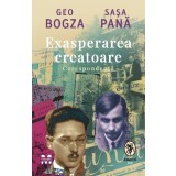 Exasperarea creatoare: corespondență - Sașa Pană