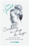 Cicatrici in chip de aripi - Erin Stewart, Corint