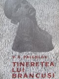 Tineretea lui Brancusi - V. G. Paleolog